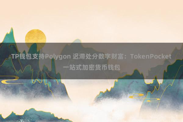 TP钱包支持Polygon 迟滞处分数字财富：TokenPocket一站式加密货币钱包