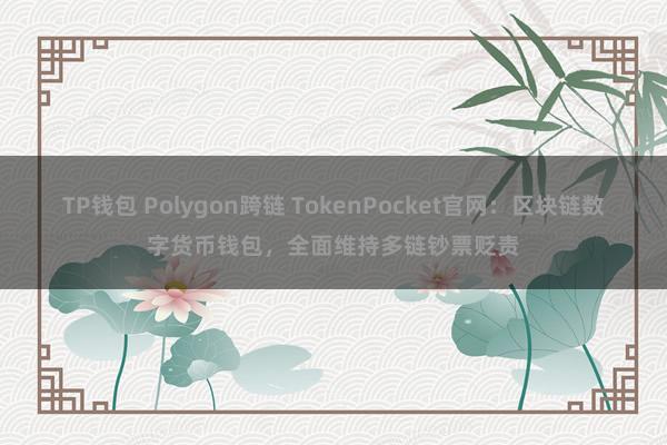 TP钱包 Polygon跨链 TokenPocket官网：区块链数字货币钱包，全面维持多链钞票贬责